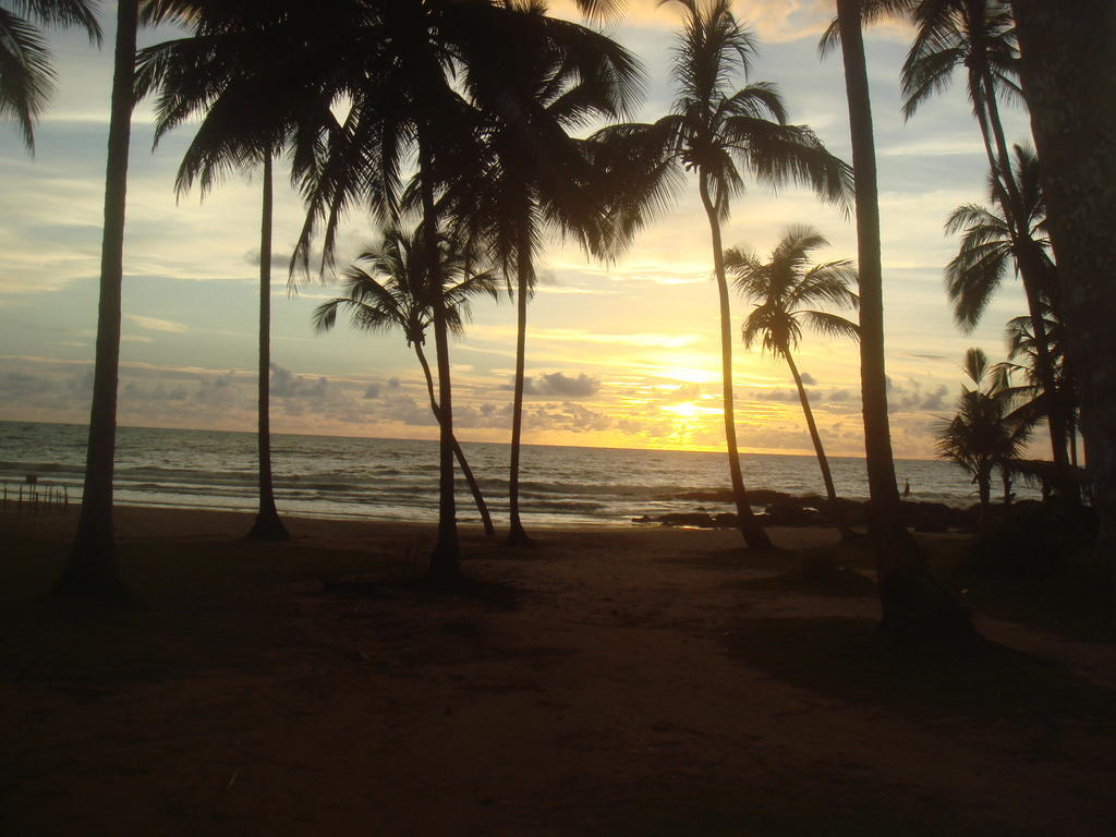 Casa Blanka 2010 - Eco Surf Guest House อิตากาเร ภายนอก รูปภาพ